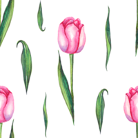 tulipas em aquarela. padrão sem costura png