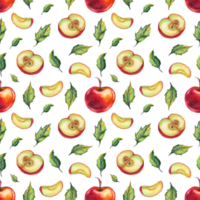 vattenfärg äpplen. sömlös mönster png