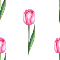 tulipas em aquarela. padrão sem costura png