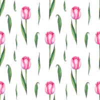 tulipas em aquarela. padrão sem costura png