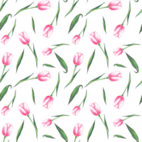 Watercolor tulips. Seamless pattern png