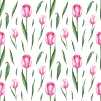 Watercolor tulips. Seamless pattern png