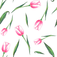 tulipas em aquarela. padrão sem costura png