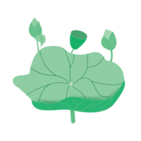 fresco di verde loto foglia e loto fiore. png