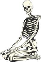 un humano esqueleto sentado en el piso mirando hacia el espectador. fácil a utilizar Víspera de Todos los Santos gráficos. png