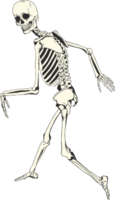 esqueleto posando como un sasquatch. png