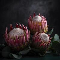 hermosa floreciente flor guerra flora, protea susara .creado con generativo ai foto