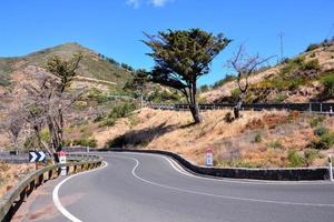 Scenic road view photo