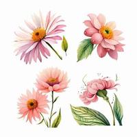 collection of drawn watercolor flowers vector