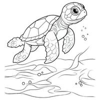 Beautiful Cute Turtle Coloring Pages vector