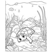 Beautiful Cute Turtle Coloring Pages vector