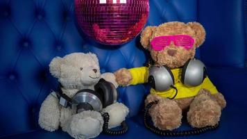 teddy bear in a disco setting video