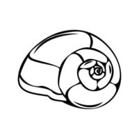 Vector isolated illustration of a shell. Contour sketch of a shell in the doodle style.