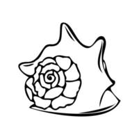 Vector isolated illustration of a shell. Contour sketch of a shell in the doodle style.