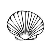 Vector isolated illustration of a shell. Contour sketch of a shell in the doodle style.