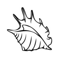 Vector isolated illustration of a shell. Contour sketch of a shell in the doodle style.