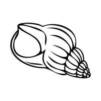 Vector isolated illustration of a shell. Contour sketch of a shell in the doodle style.