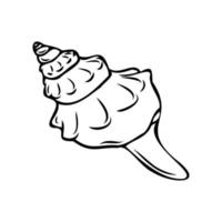 Vector isolated illustration of a shell. Contour sketch of a shell in the doodle style.