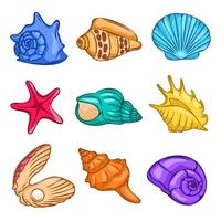 A set of tropical shells, vector illustration. Summer concept with seashells and starfish on a white background. Starfish, aquatic nature.