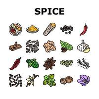 spice food herb leaf icons set vector