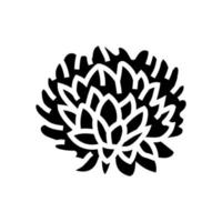 chrysanthemum blossom spring glyph icon vector illustration