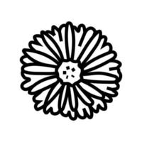 aster blossom spring line icon vector illustration