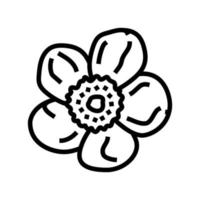 buttercup blossom spring line icon vector illustration