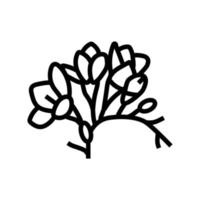 freesia flower spring line icon vector illustration