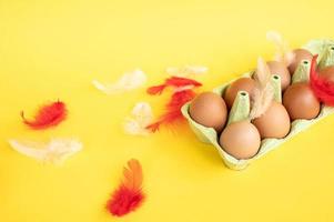 pollo rojo huevos mentira en un reciclaje bandeja, vistoso plumas, Pascua de Resurrección huevo colocar, Copiar espacio foto