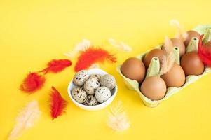 Small quail eggs with chicken eggs in a paper tray with colorful feathers lie in a white plate photo