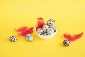 Quail Easter eggs with feathers lie in a white plate on a yellow background with red feathers, photo