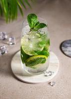 Cold mojito cocktail with fresh citrus slices ice. Summer party or bar menu concept. photo