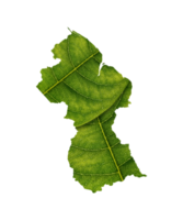 Guyana map made of green leaves ecology concept png