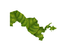 Usbekistan Karte gemacht von Grün Blätter Ökologie Konzept png