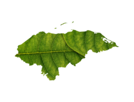 Honduras map made of green leaves ecology concept png