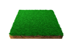 seção transversal de geologia terrestre de solo quadrado com grama verde, lama de terra cortada ilustração 3d isolada png
