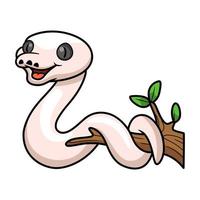 Cute black eyed leucistic reticulatus python cartoon on tree branch vector