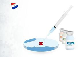 Vaccination in Paraguay with different type of COVID-19 vaccine. Concept with the vaccine injection in the map of Paraguay. vector