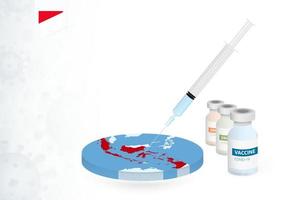 Vaccination in Indonesia with different type of COVID-19 vaccine. Concept with the vaccine injection in the map of Indonesia. vector