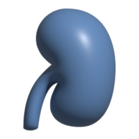 3d ikon av njure png