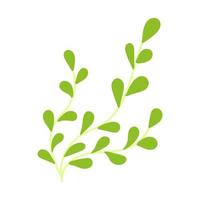 seaweed flat vector cartoon color illustration on white background