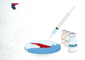 Vaccination in North Carolina with different type of COVID-19 vaccine. Concept with the vaccine injection in the map of North Carolina. vector