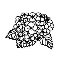 Flowers collection in outline doodle flat style. Set of simple floral element plant leaves decorative design. Hand drawn line art. For coloring. Vector illustration isolated on white background.