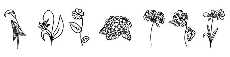 Flowers collection in outline doodle flat style. Set of simple floral element plant leaves decorative design. Hand drawn line art. For coloring. Vector illustration isolated on white background.