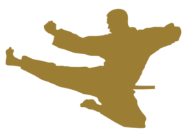 silueta de marcial artista patada, taekwondo, kárate, pencak silat, kung-fu, para logo o gráfico diseño elemento. formato png