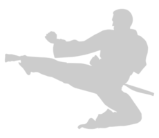 silhuett av krigisk konstnär sparka, taekwondo, karate, pennkaka silat, kung Fu, för logotyp eller grafisk design element. formatera png