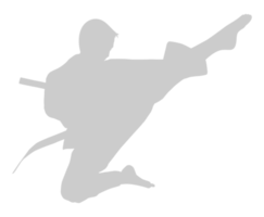 silhouet van krijgshaftig artiest trap, taekwondo, karate, pencak silaat, kungfu, voor logo of grafisch ontwerp element. formaat PNG