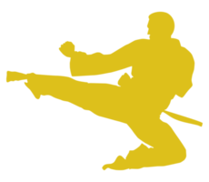 Silhouette of Martial Artist Kick, Taekwondo, Karate, Pencak Silat, Kungfu, for Logo or Graphic Design Element. Format PNG