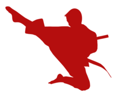 silhouette di marziale artista calcio, taekwondo, karatè, pencak sila, kungfu, per logo o grafico design elemento. formato png