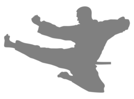 Silhouette von kriegerisch Künstler trete, Taekwondo, Karate, pencak Silat, Kung-Fu, zum Logo oder Grafik Design Element. Format png